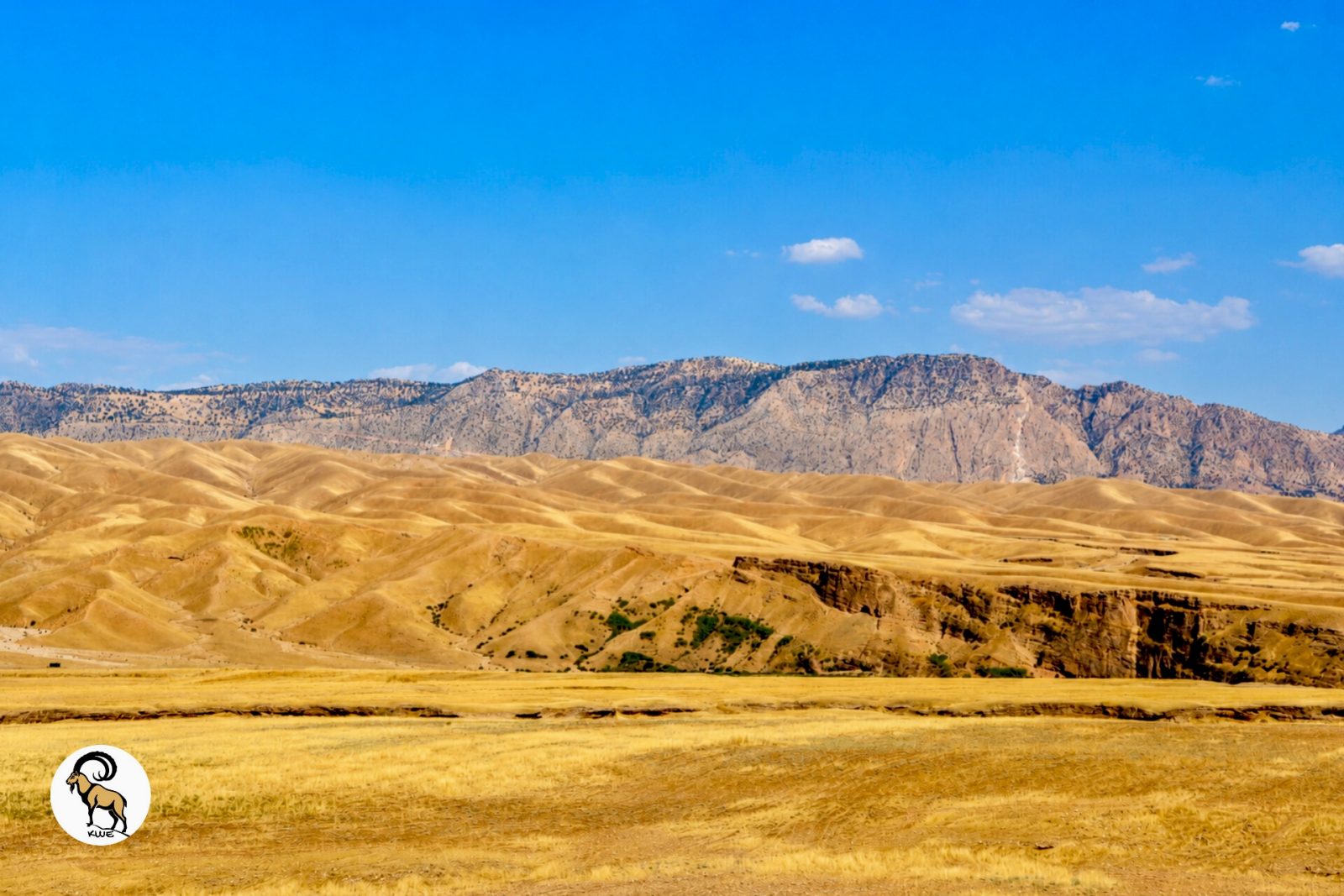 Habitat Diversity in the Kurdistan Region